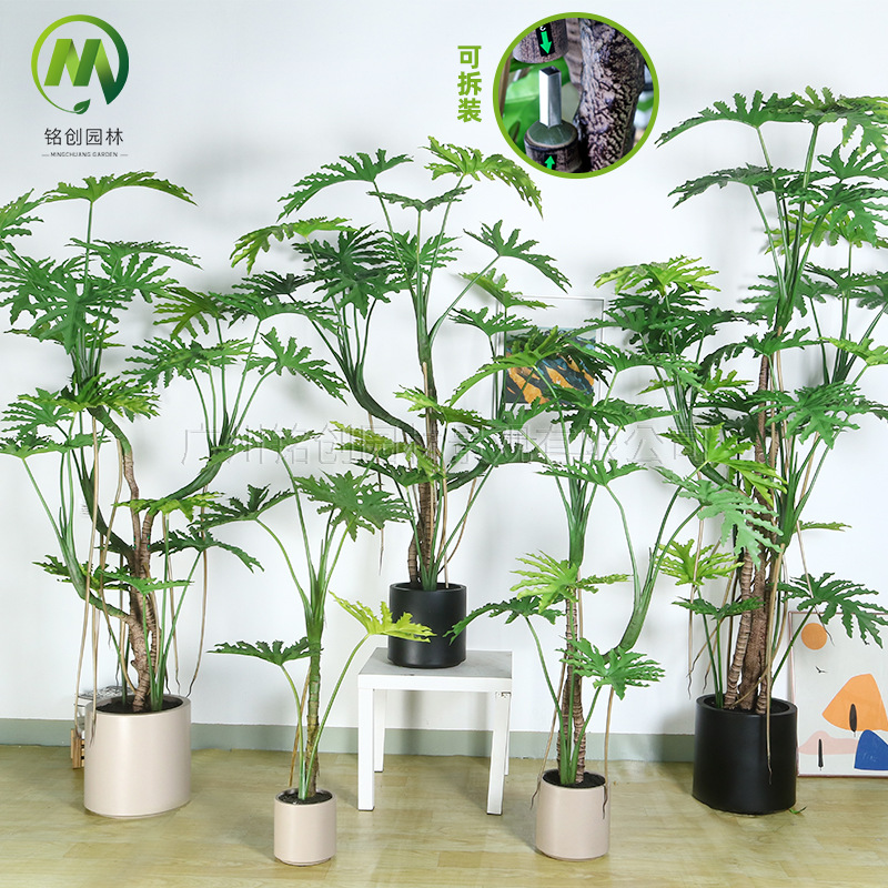 Simulación de interior Planta verde Simulación de plantación de disco Escala de dragón Taro de primavera Sala de estar Balcón Simulación Planta verde falsa Oficina Bonsai