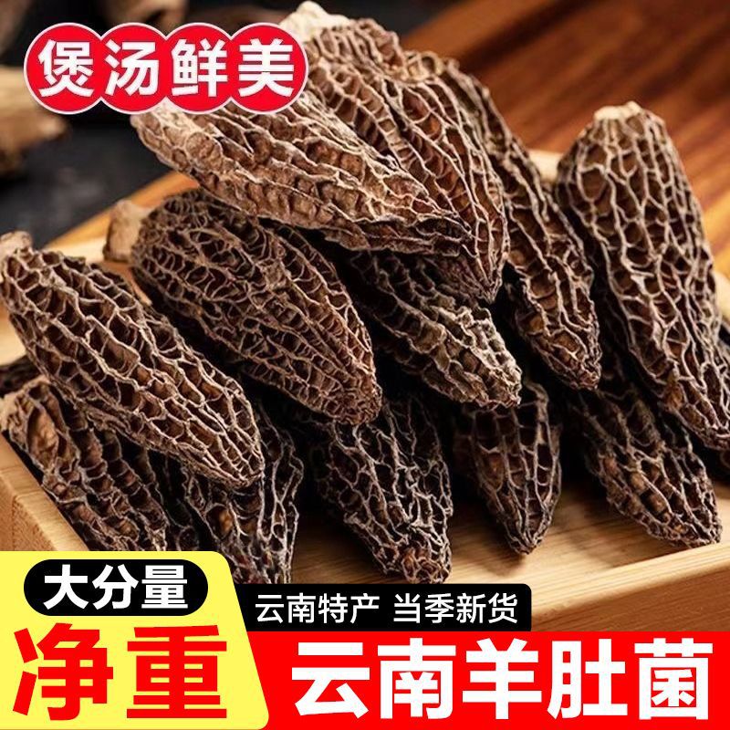 【无干燥剂发货】新鲜羊肚菌云南特产干货虫草日晒菌蘑菇煲汤批发
