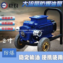 电动抽油泵大流量防爆导油柴油汽油防爆泵12v24v220v加油卸油泵