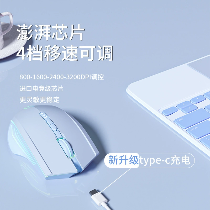 Безмутевая мышь с зарядкой, игровая ноутбук для мужчин и женщин, Bluetooth, оптом
