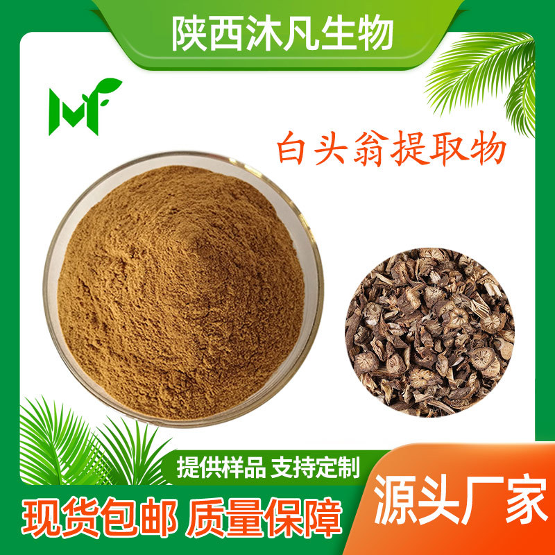 白头翁提取物10:1全水溶白头翁浓缩粉 萃取浸膏粉 沐凡厂家直供