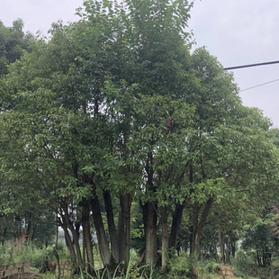 5��������������������  �ؗU��������N���� �ļ����G �F������