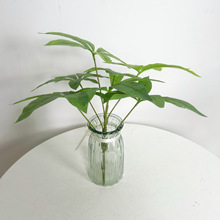 ����Gֲ���Դ�̖�lؔ���~���滨�[�����ϰlؔ��֦�b�����lؔ��