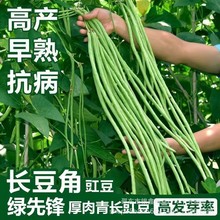���ȷ涹������������������ɫ��������ԭװ�ļ��߲˴�ȫ��������