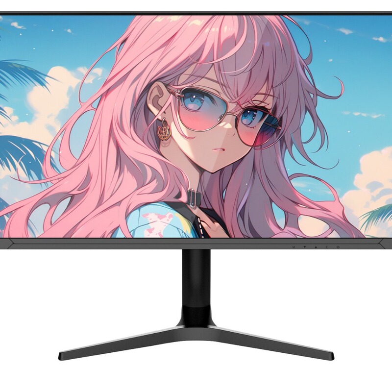 Computer Monitor 24inch