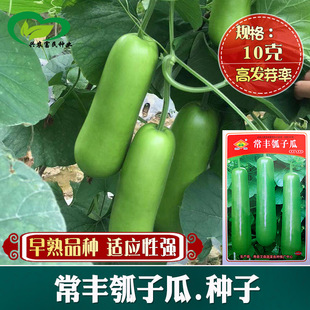 �����L��ӹϷN�� �ļ����N�����ѹ����r�����Ե����߲˷N��