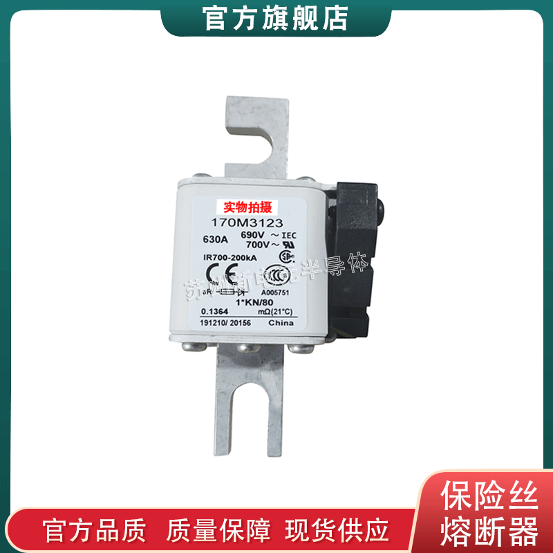 170M3122 170M3123 170M3219 170M3220 美国巴斯曼熔断器保险丝