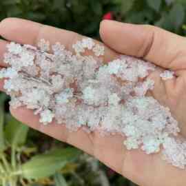 耐高温珠片3mm5mm7mm葱粉彩白色梅花亮片手缝闪片DIY材料饰品配件