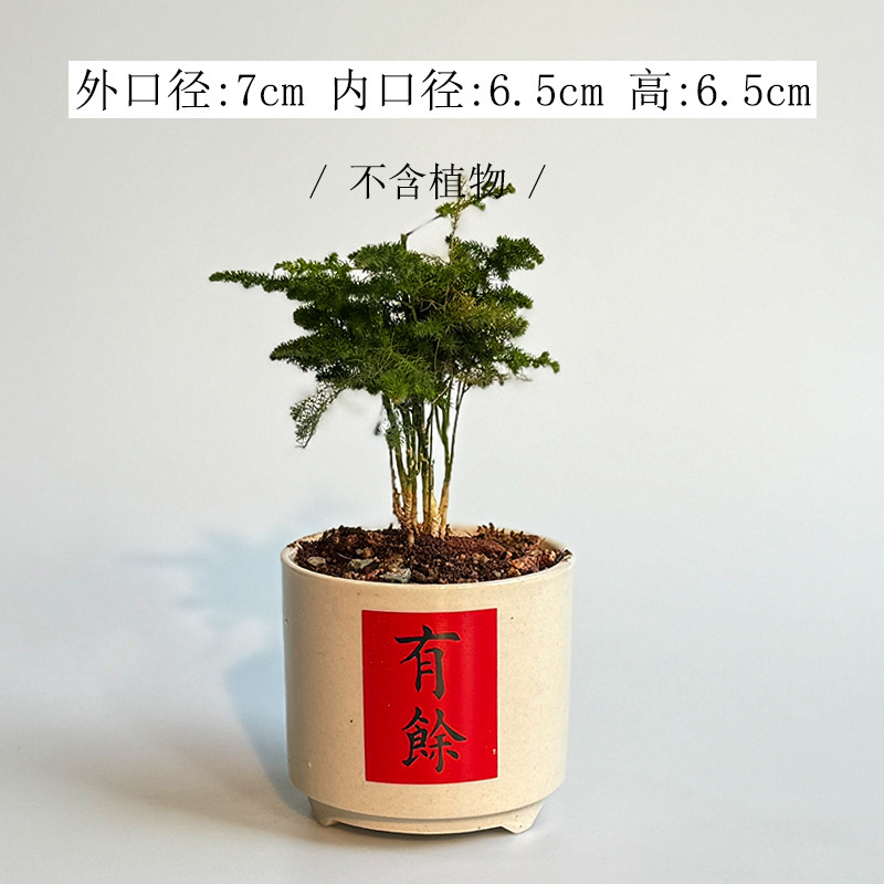 白い多肉盆の越境創意デスクトップ置物現代家庭園芸サボテン緑植植木鉢はロゴを印刷できます。|undefined
