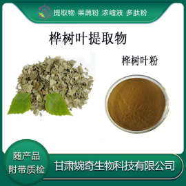 桦树叶提取物10:1 桦树叶粉 桦树叶浸膏 桦树黄酮30% 现货供应包