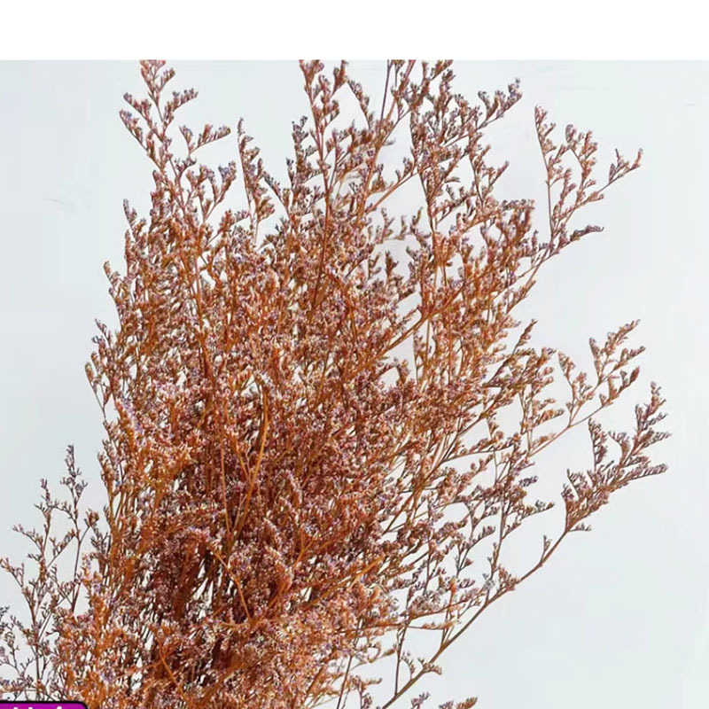 微信图片_20230504201127