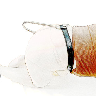 ?�A��Ͻ��ٸ��T�h�����̶��ع���ͥ���˾ջ�SM�������l