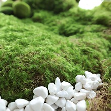 DIY仿真青苔假苔藓草皮草坪景观软装场背景绿植造景布置铺面装饰