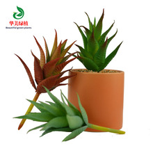 �������ֲ�� �l�y�J�C ���z�Gֲ�b��辰���� ֲ�΢���^���