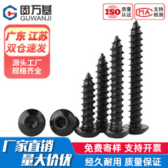8.8級高強度黒色丸頭内六角タッピングねじ304ステンレス製元カップ盤頭内六角ねじ