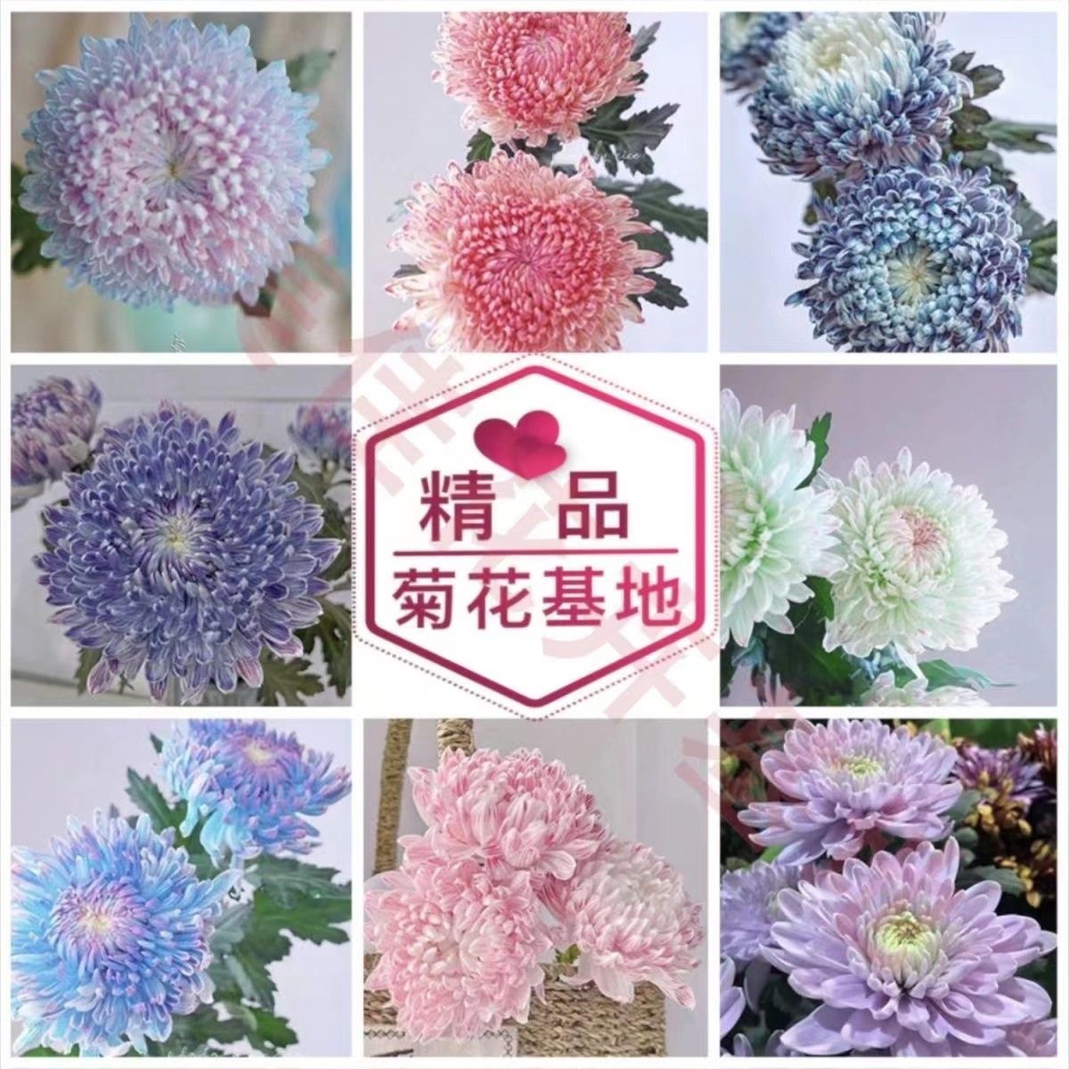 商品图
