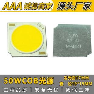 Supply 50WCOB light source high power 24V 1919 in stock COB positive white 8 series 14 and 24V COB lamp beads