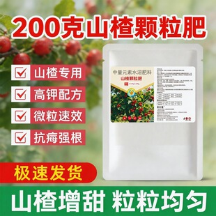 ɽ高䌣�÷����w�� �����ЙC�� ͥԺ�N�����Թ������ͨ�������l