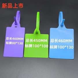 标牌扎带一次性快递物流挂签跨境贴纸标识牌防调包吊牌锁扣防伪