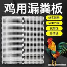 �u��©�S���u���Z�������S�ذ��Bֳ�Ӻ�����©�S��W���u��ذ�