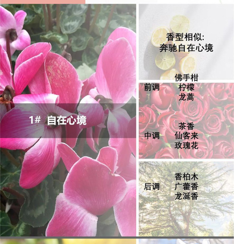 香水精油车内香氛负离子系统香薰持久通用空调出除味补充液替换装|undefined