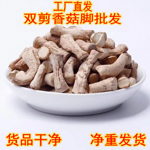 �㹽�_��؛�p���㹽���㹽���㹽�_�����r�aƷ���bɢ�b�������l