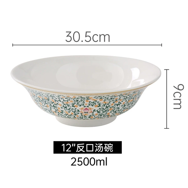 12 inch regurgitated soup bowl