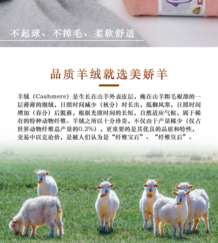 详情_02.jpg