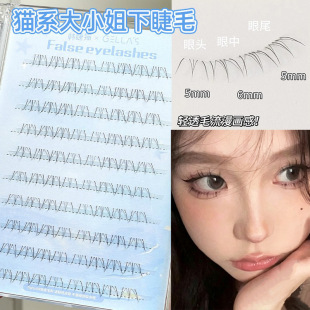 �n��؈؈ϵ��С���½�ë�O��ë������͸�����ٽ�ë�����W�����R��