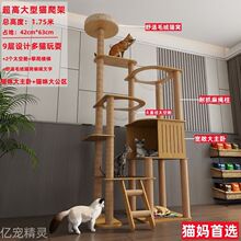 ؈����؈�C؈��һ�w����؈�����Ӷ�؈��ľ؈�܄���؈����̨̫��œ