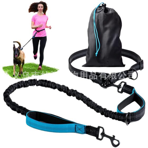Amazon Pet Leash Outdoor Running Reflective Double Telescopic Dog Leash Dog Chain Leash Pet Supplies