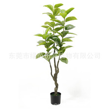 东莞仿真橡树生产厂家 空间植物布景尖齿白栎树 软装称栎树柞树