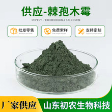 棘孢木霉菌原粉微生物菌剂有机种植微生物菌肥棘孢木霉厂家