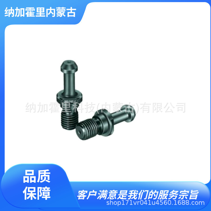 BIG DAISHOWA 大昭和精机 拉力螺栓 P30T-2MGH3 40PMGH P40T-1MG