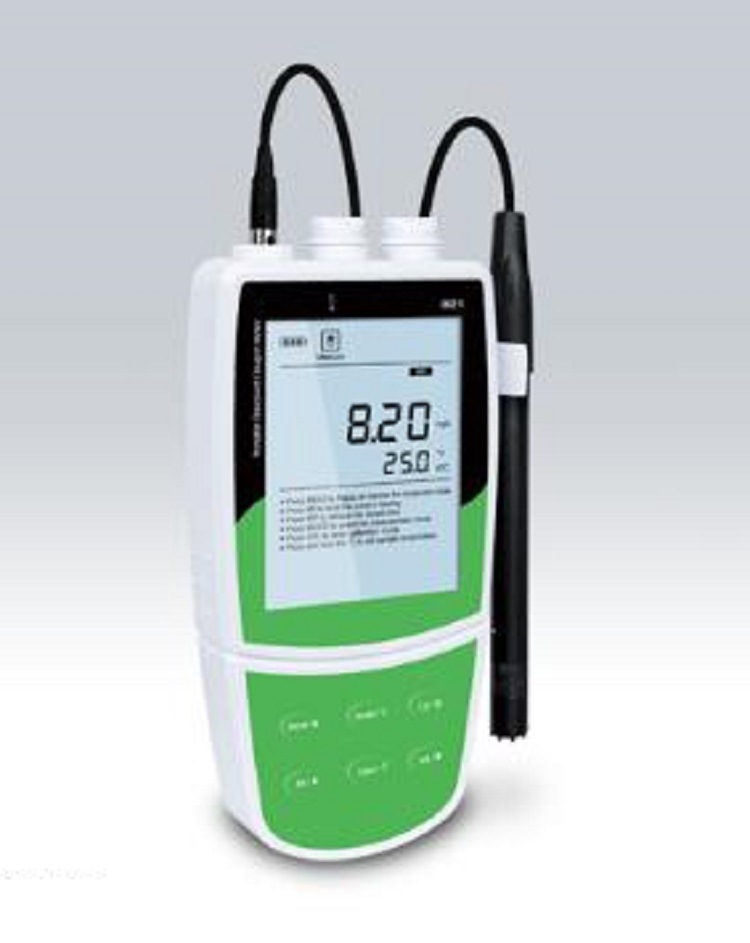 便携式溶解氧仪 型号BANTE821  库号M398846