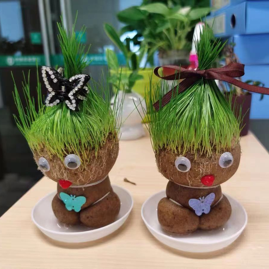 Cute grass dolls with big eyes and hair