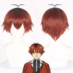 Cardamom Buried Fulian Hugh Tucker cosplay wig color matching