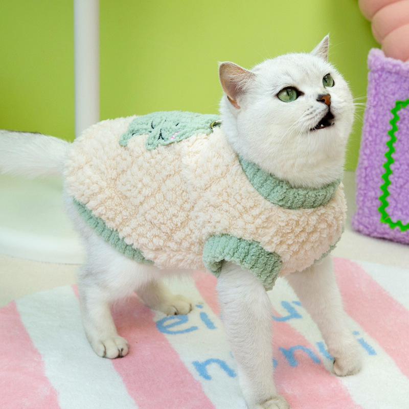 Perro otoño invierno grueso abrigo de terciopelo pequeño dinosaurio con hebilla de tracción ropa de piernas ropa de mascotas al por mayor