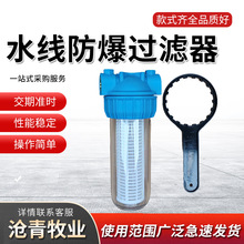 养殖水线防爆过滤器 过滤杂质反冲洗水阀过滤杯 鸡鸭兔用饮水器
