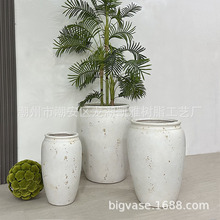 W͹ش̖wSV͏d̨ͥԺN´