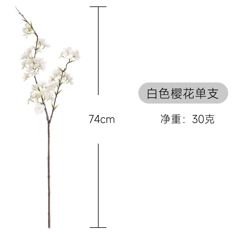 微信图片_20241112134256