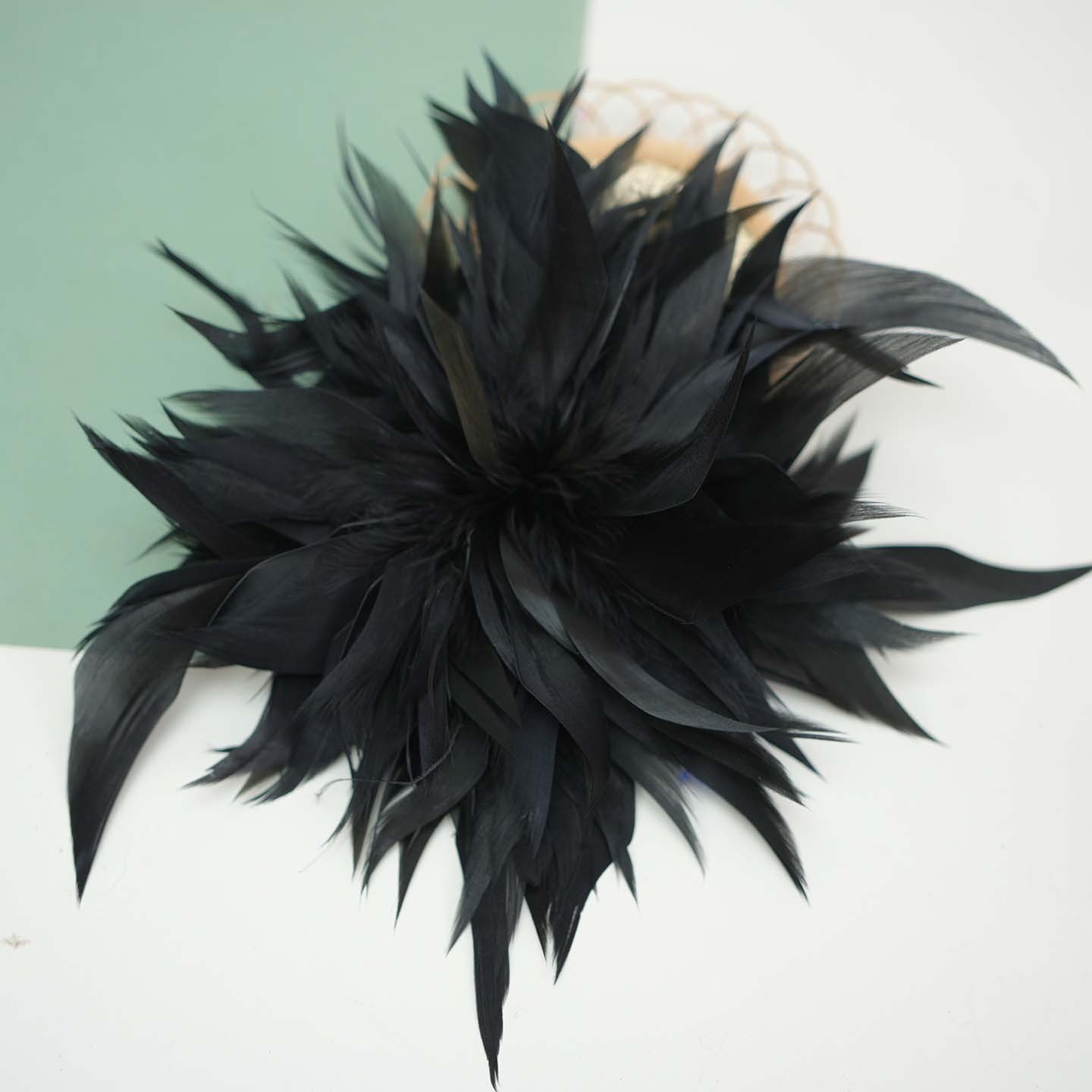 Plumas negras al por mayor DIY accesorios de decoración de ropa accesorios escenas de diseño de fábrica de plumas tienda directa