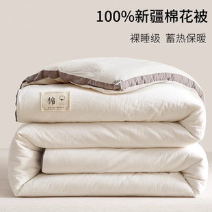 Xinjiang Pure Cotton Quilt Winter Quilt Thickeneded Warm Cotton Quilt Core All Year Round Autumn and Winter Cotton Batting Single and Double Spring & Fall Quilt