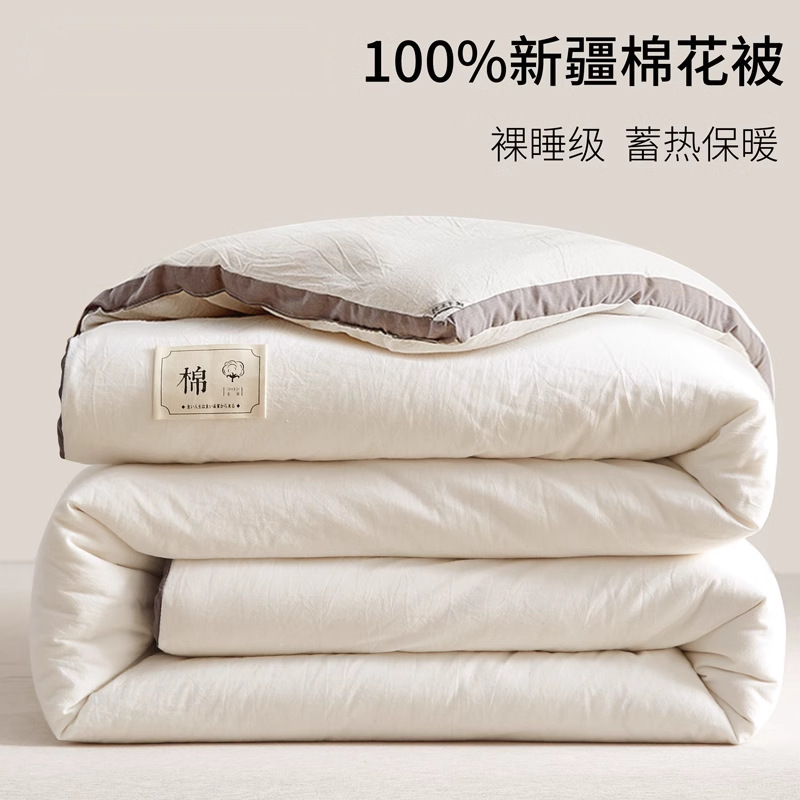 Xinjiang Pure Cotton Quilt Winter Quilt Thickeneded Warm Cotton Quilt Core All Year Round Autumn and Winter Cotton Batting Single and Double Spring & Fall Quilt
