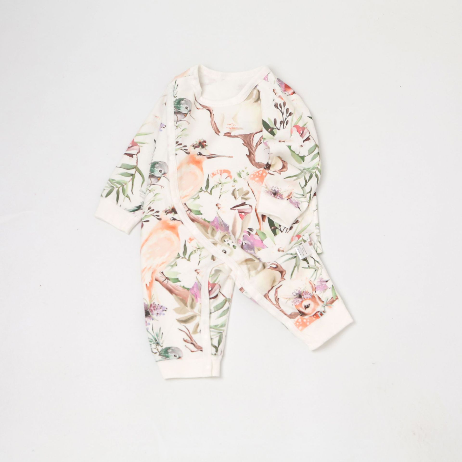 Bird language deer chirping