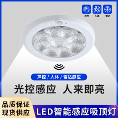LED 梅の花人体誘導天井音声制御光制御廊下廊下 Jiugongge タイプ B 火災緊急天井ランプ