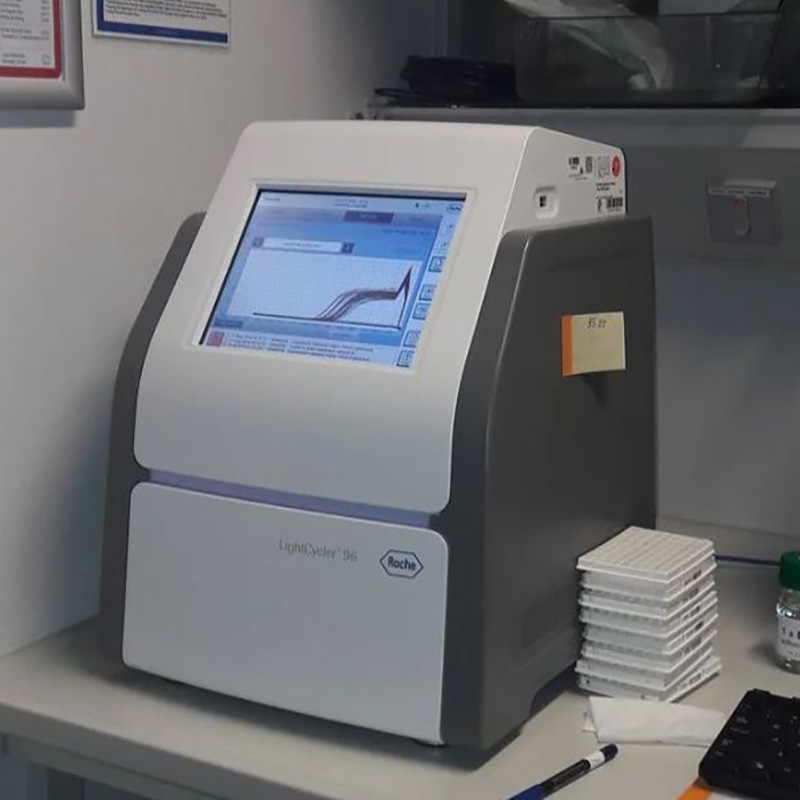 u=3051463877,1847480917&fm