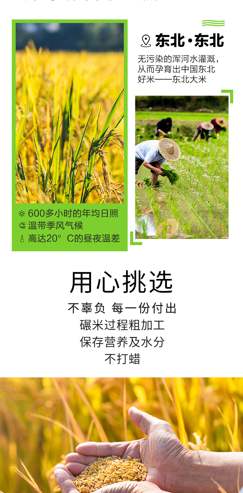 详情页_03.jpg