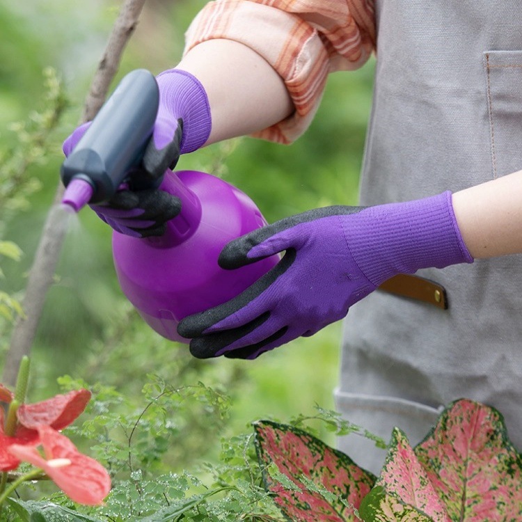 IMG_1844(20240114-231344)