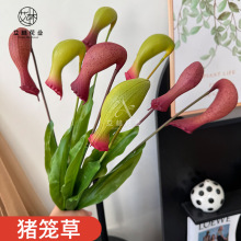 仿真植物-猪笼草婚庆仿真花绿植仿真绿植仿真植物假绿植造景